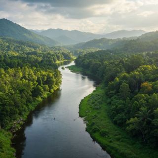freepik__lush-forests-and-pure-rivers-protecting-community-__16195